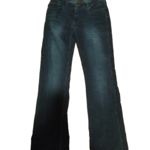 Anna Sui Corduroy Pants Blue